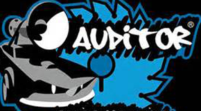 auditor