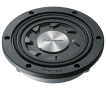 Pioneer TS-SW841D