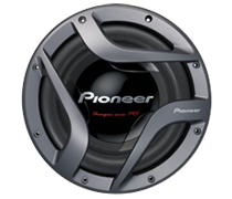 Pioneer TS-W3002D4